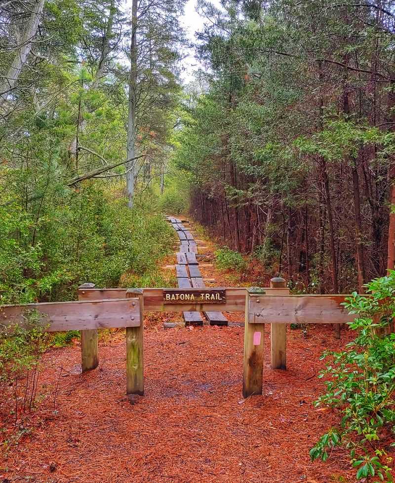 Bass River State Forest