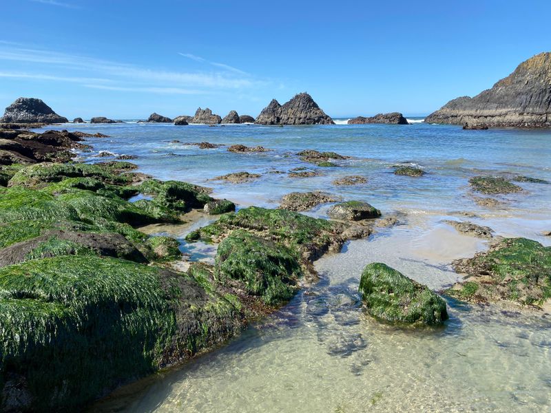 Yachats and Seal Rock