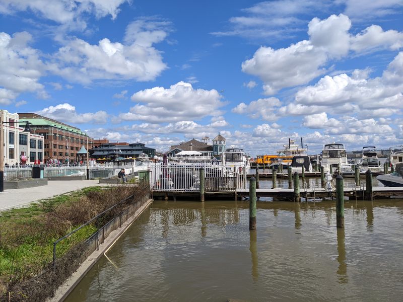 Alexandria's Growing Diversity, Alexandria Old Town, Virginia