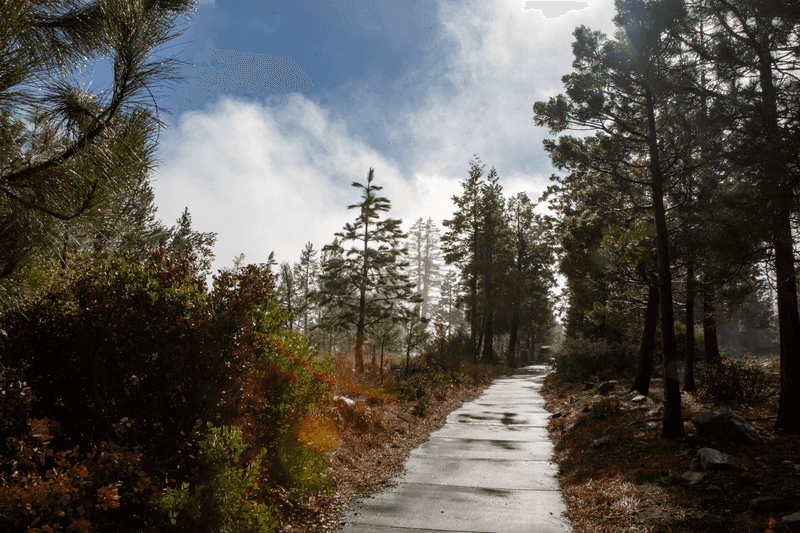 Crystal Lake Park (Azusa)