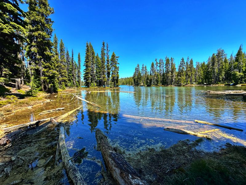 Puck Lake (North End)