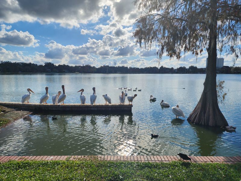 Lake Morton, Lakeland