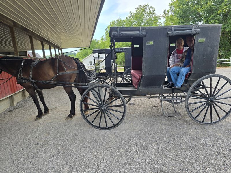 Work Patterns Influence Daily Movement Across The Land