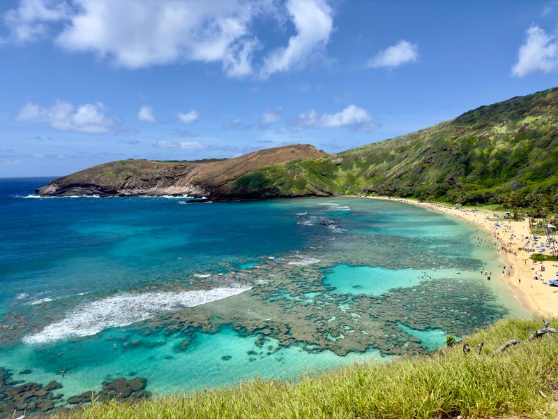 Hanauma Bay's Coral Reefs Pay The Price