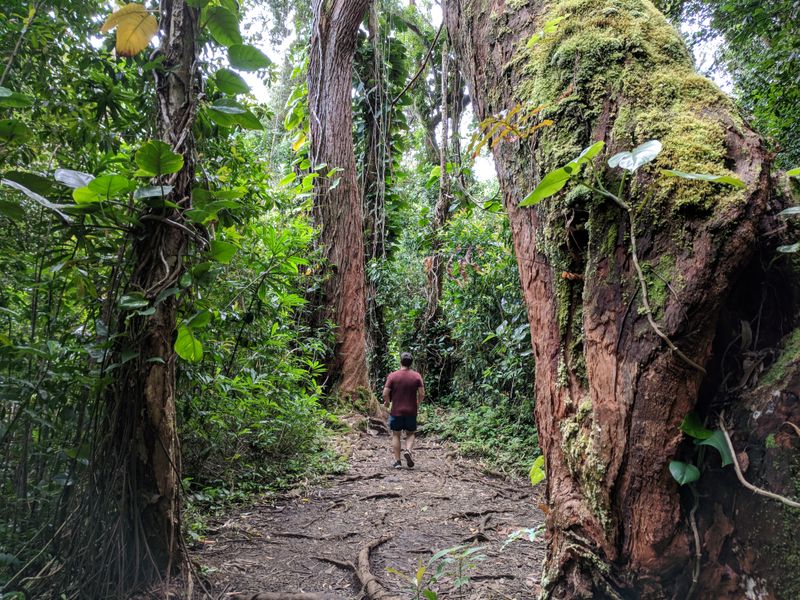 The Land Is Viewed As An Ancestor, Not A Resource