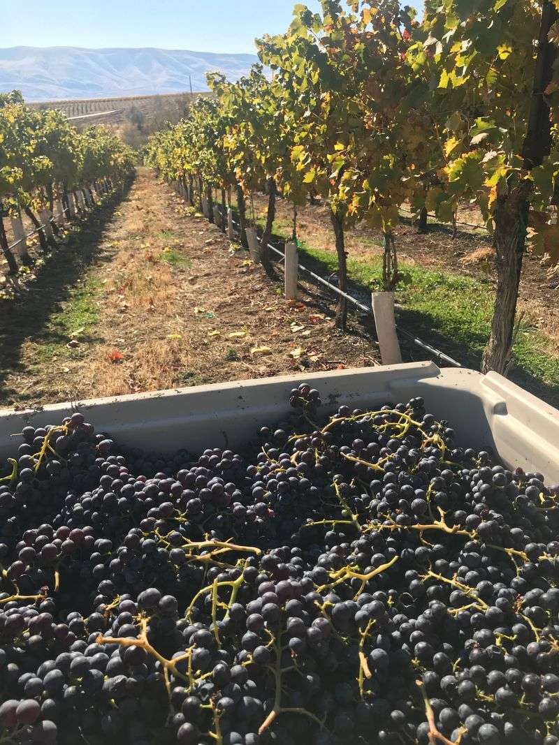 Spokane and Eastern Washington Wine Country