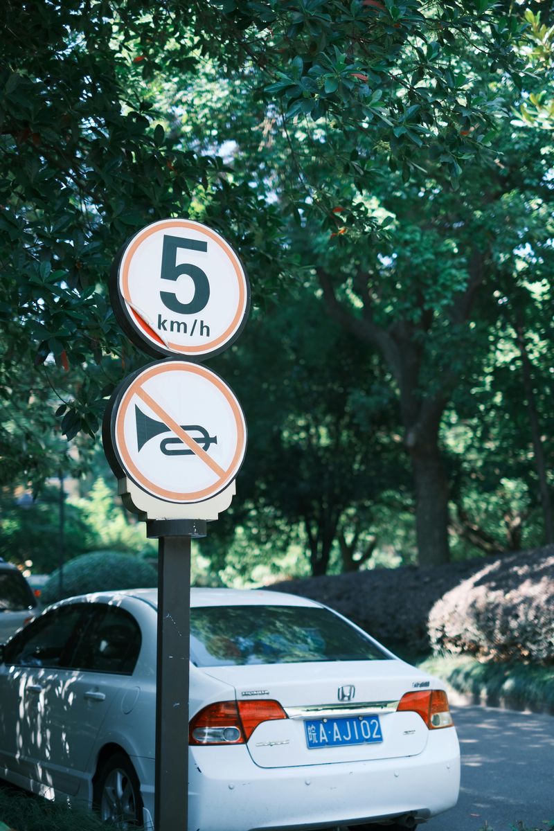 Using A Siren Or Horn Excessively Is Regulated