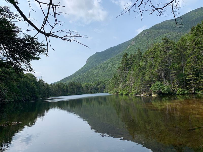 A Window Into New Hampshire’s Logging Past