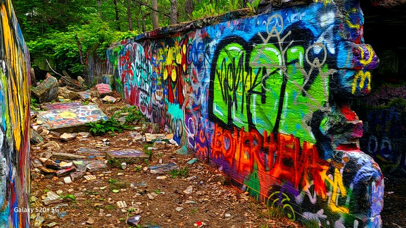 A Testament to Nature's Patient Reclamation