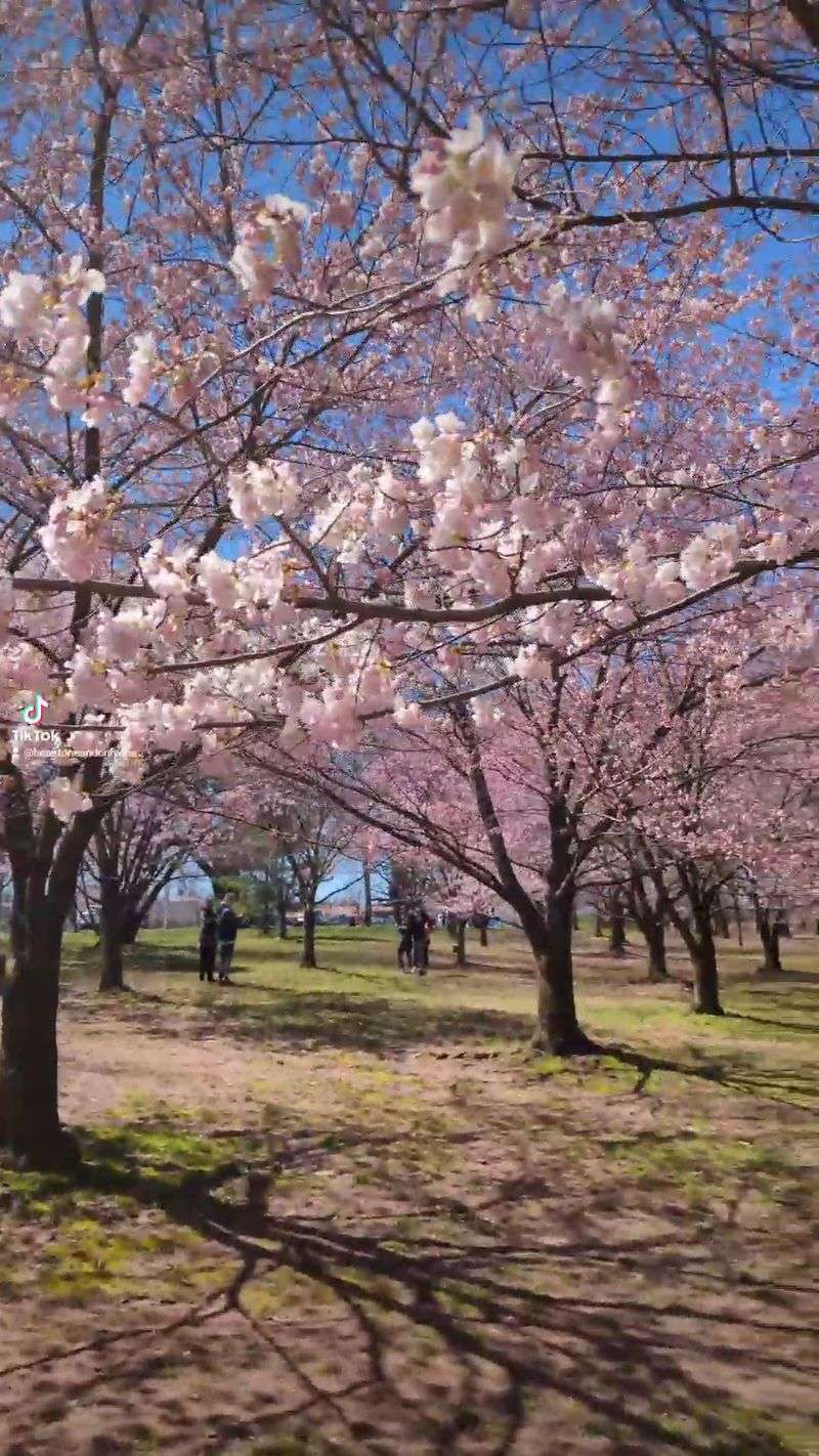 The Instagram Effect Turned Authenticity into Performance Art