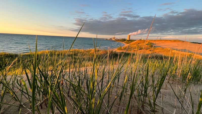 Wildlife Disturbance Has Increased Significantly