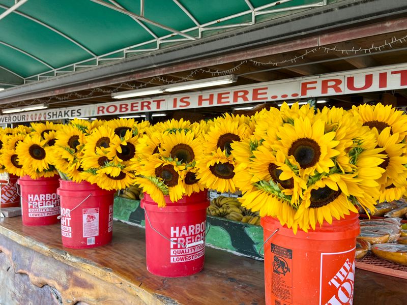 The Perfect Stop Before Everglades Adventures