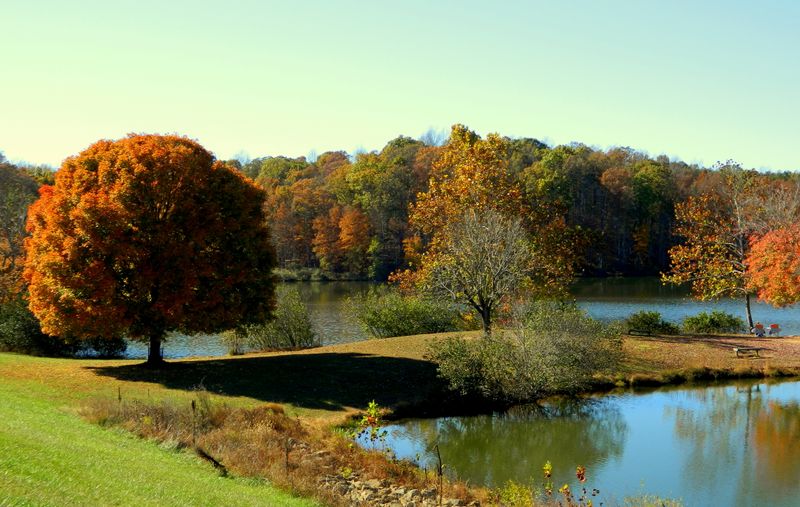 Carter Mountain Orchard Seasonal Traditions