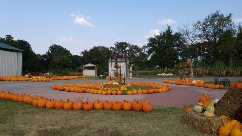 Wild Things Farm Christmas Market, Pocola