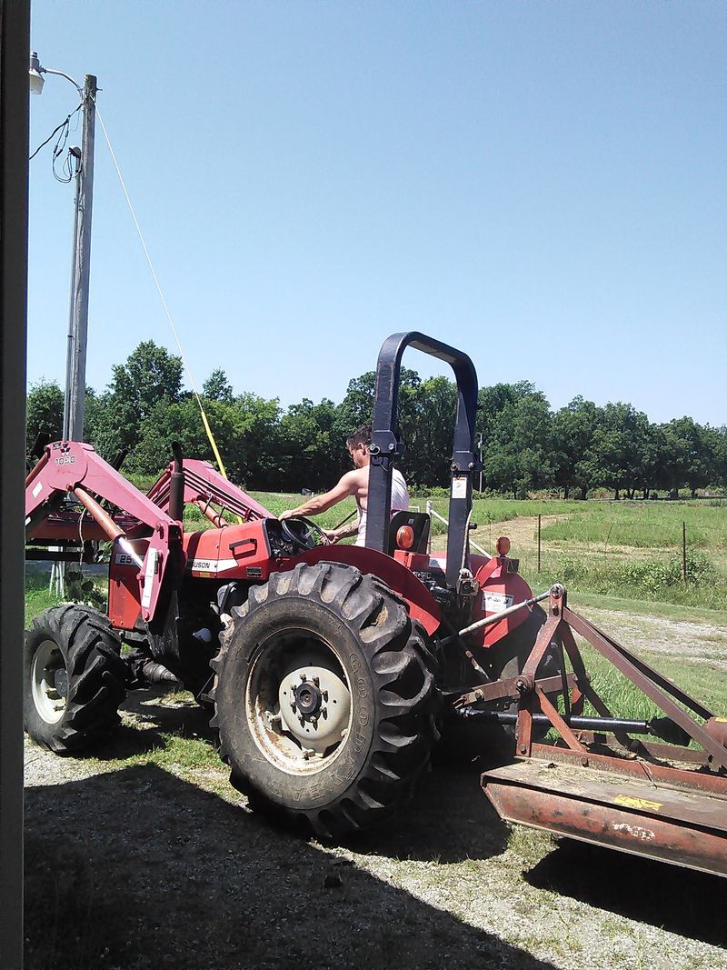 Economic Realities and Survival Strategies