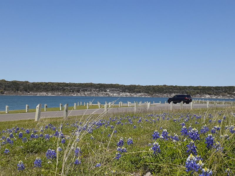 Wildflower Trails and Natural Beauty