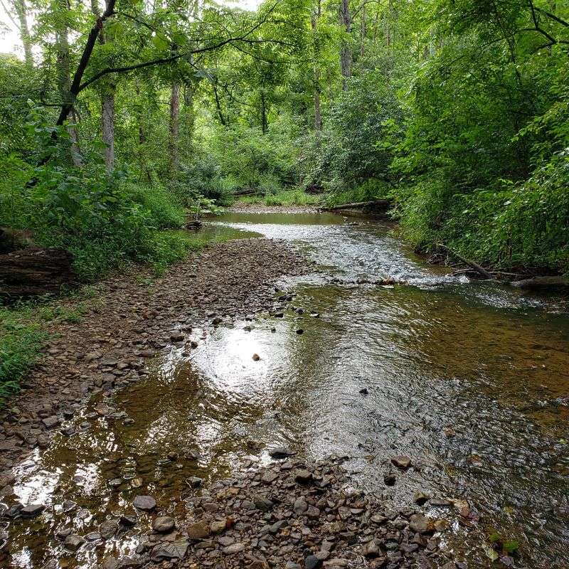 The Scenic Appalachian Trail Access