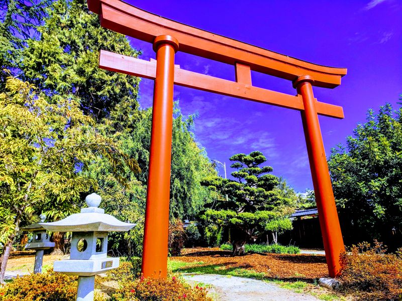 Cultural Norms Began To Clash Quietly