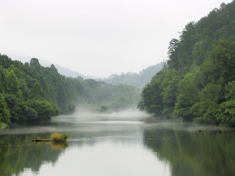 Wildlife and Nature Face New Pressures