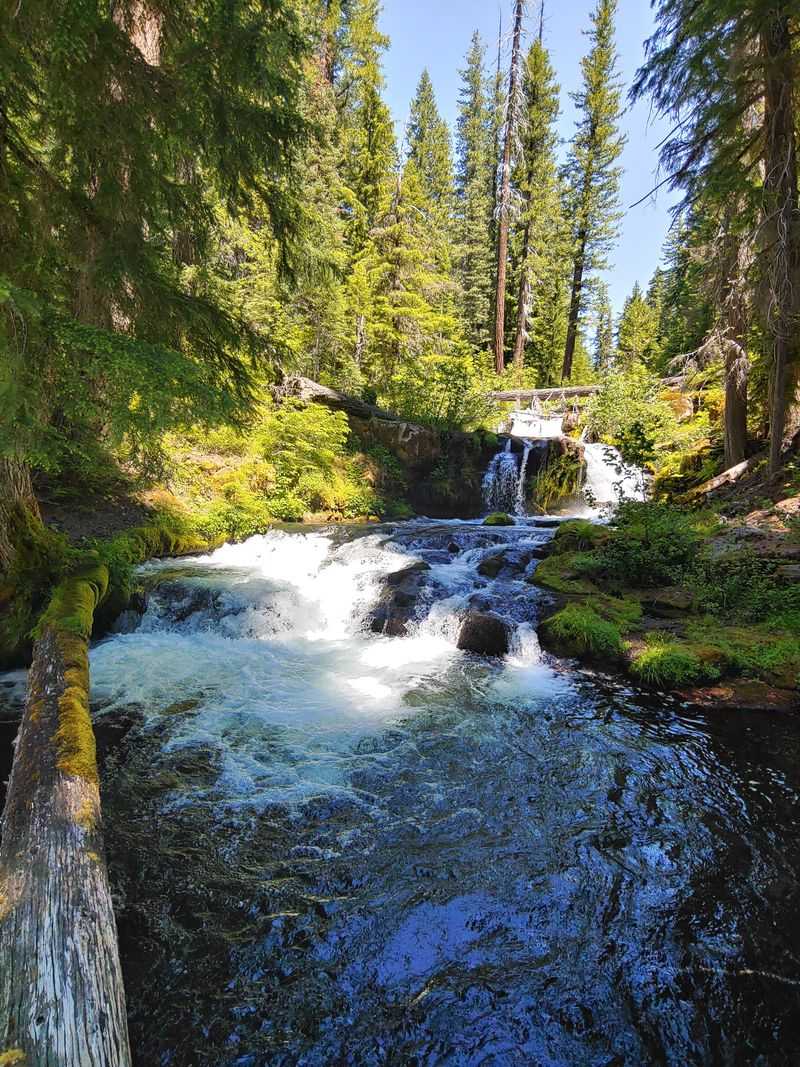 Oregonians Are Quietly Passionate About Their State