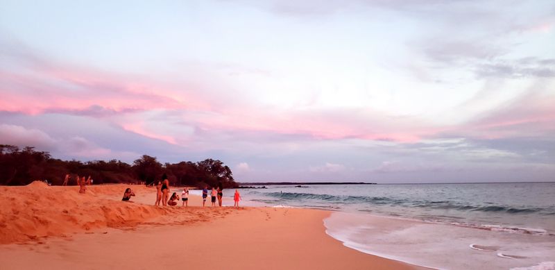 Rescue Efforts Are More Common Than Visitors Realize