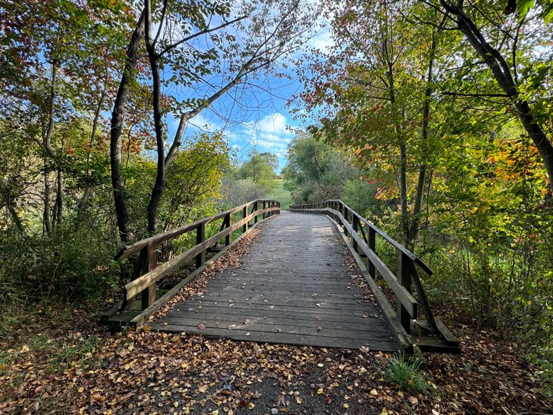 Walking the Historic Sunken Road