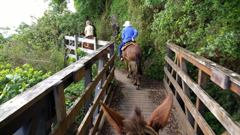 Time Feels Different When The Land Sets The Rules