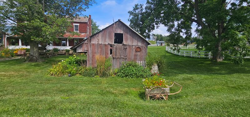 Amish Communities Adapt Without Inviting Change