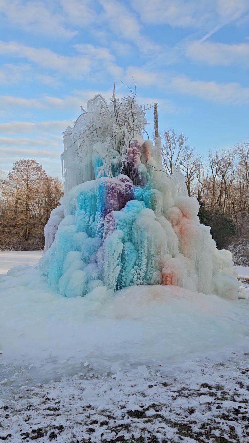 A Perfect Photo Opportunity and Family Memory-Maker