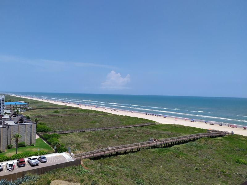 Environmental Strain and Wildlife Disruption