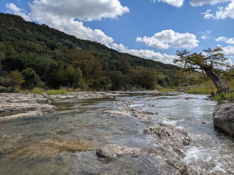 Pedernales River Road