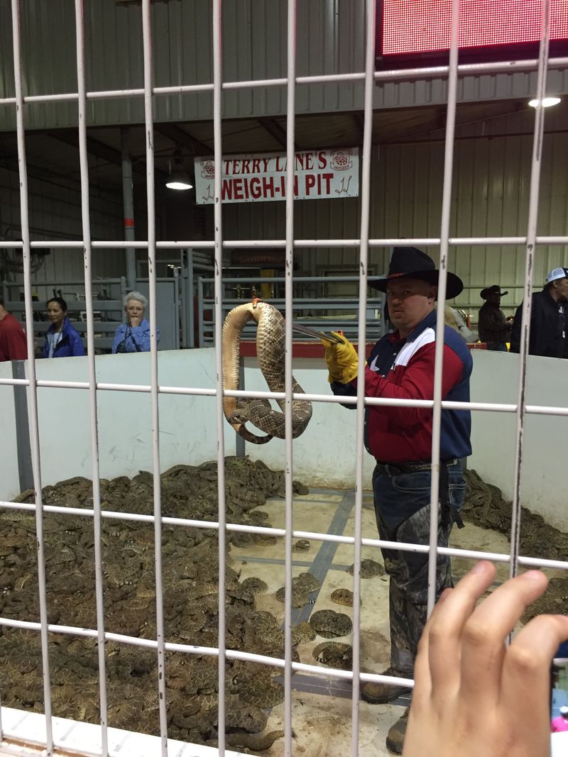 Sweetwater Rattlesnake Roundup
