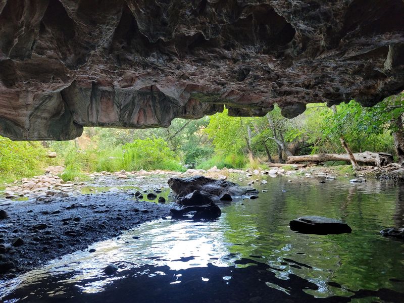 Natural Bridge State Park