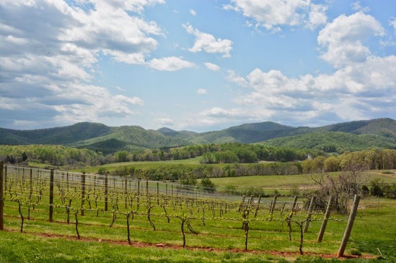 Charlottesville and The Monticello Wine Trail