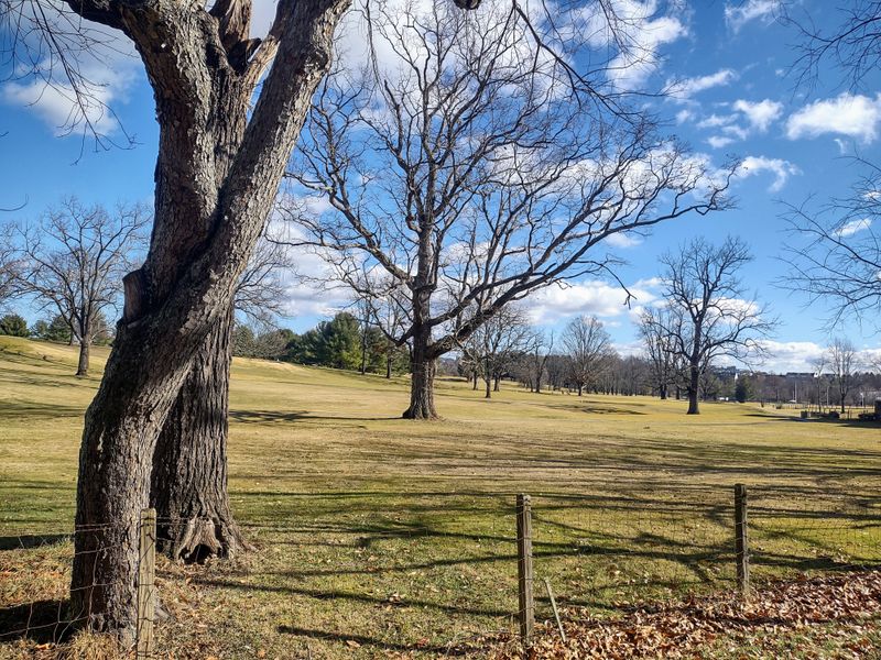 Smithfield Plantation House