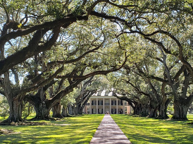 Oak Alley Plantation