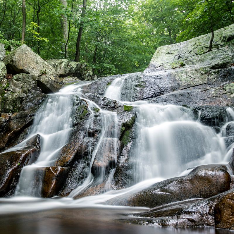 Schooley's Mountain Park for Nature Without the Noise