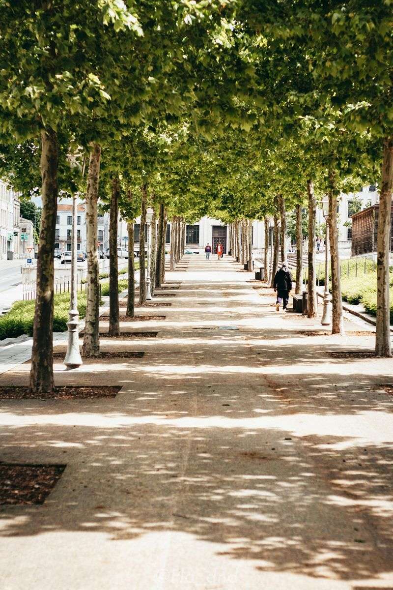 Spitting On A Sidewalk Can Really Be Illegal