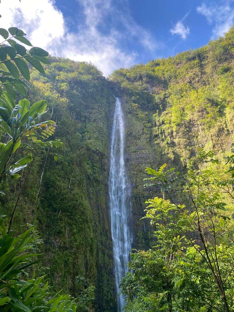 Waimoku Falls, Maui