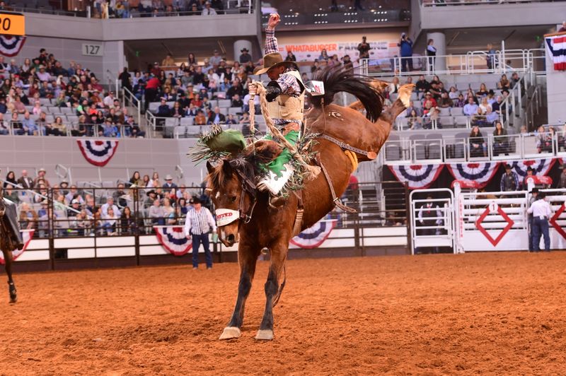 Fort Worth Stock Show & Rodeo (January/February)