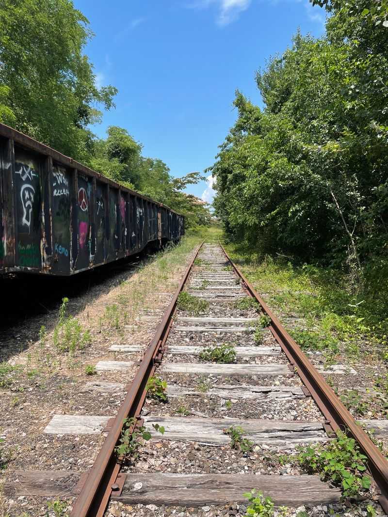 Artistic Easels Inviting Creative Expression In Nature