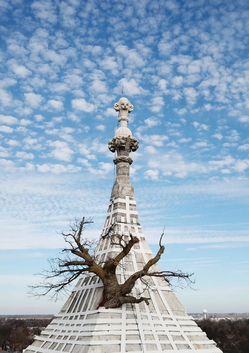 The Tree on the Courthouse Roof