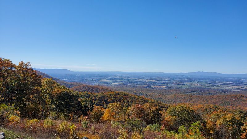 Shenandoah National Park