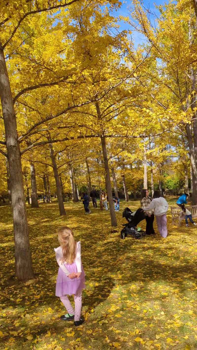 Blandy Experimental Farm and State Arboretum