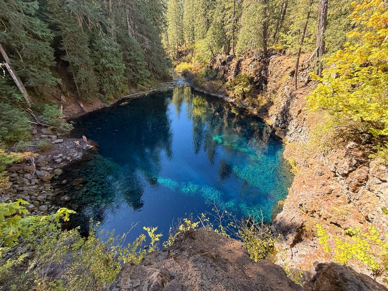 Tamolitch Blue Pool (Willamette National Forest)