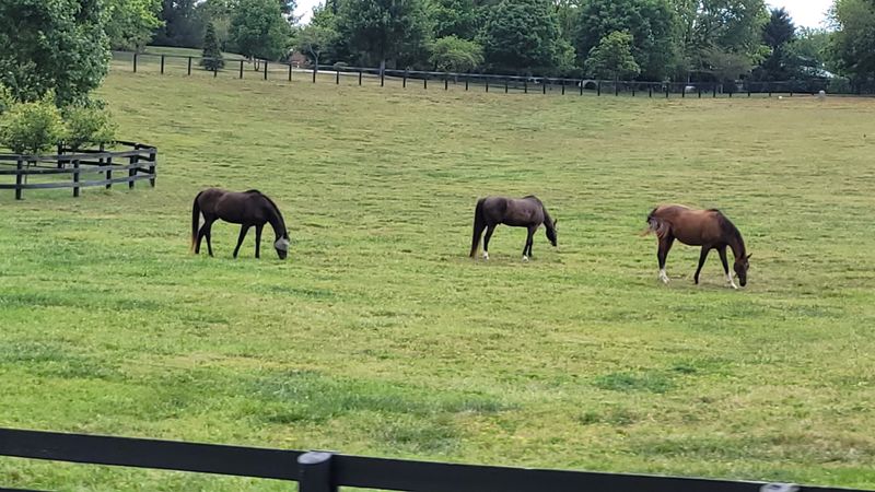 Leestown Road To Frankfort