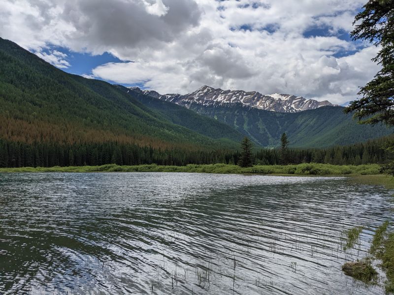 Flathead National Forest