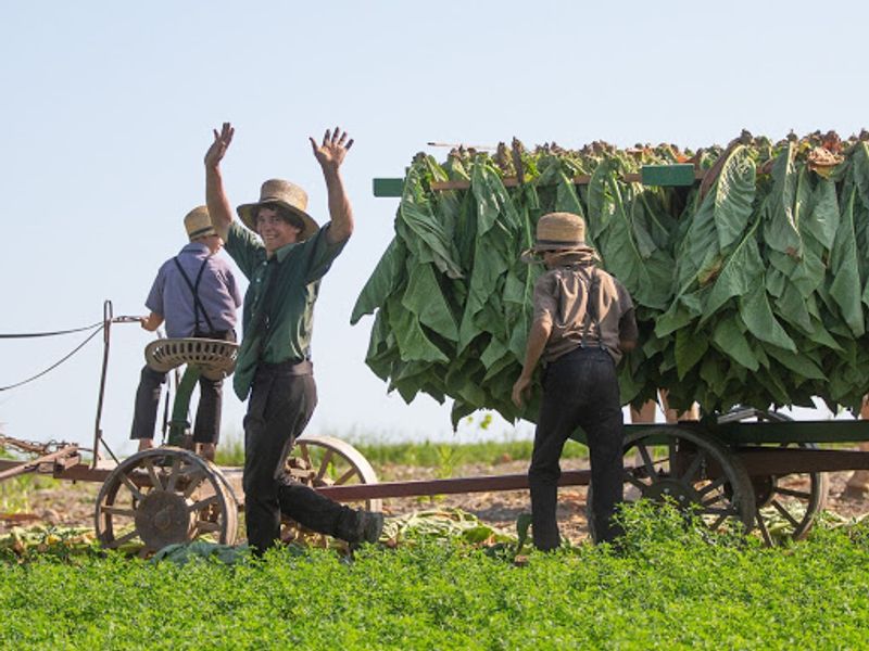 Treating Daily Life as a Photo Opportunity