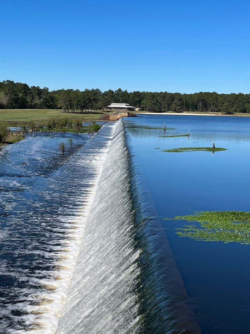 Reed Bingham State Park