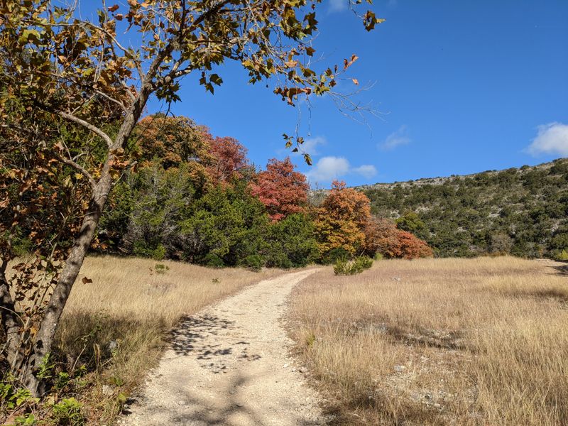 Lost Maples State Natural Area